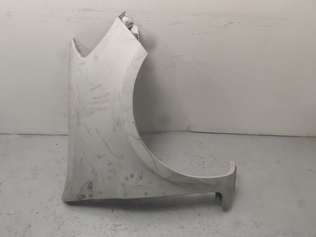 Guarda-lamas dto renault clio iii (br0/1, cr0/1) 06.05 branco usado