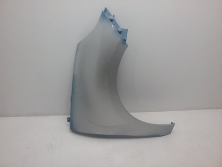 Guarda-lamas dto renault scenic iii (jz) 04.09
