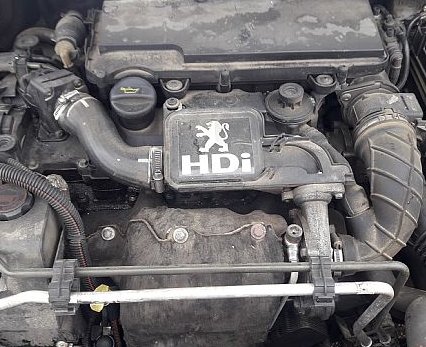 [8HX (DV4TD)] Motor citroёn xsara (n1) 1.4 hdi | 01.03 - 03.05 usado ref. 8hx (dv4td)