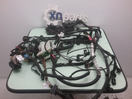 [MOTOR N47D20C] Cablagem do motor usado bmw 3 (f30, f80) 320 d ref. motor n47d20c